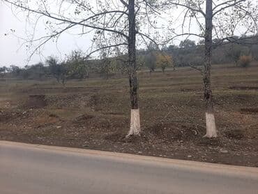 xacmazda torpaq qiymetleri: 24 sot, Mülkiyyətçi, Kupça (Çıxarış) — 2