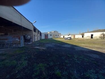 TƏCİLİİİİ!!!Kupça (çıxarış) var Bütün tikililər 40 sotun içindədir — 12