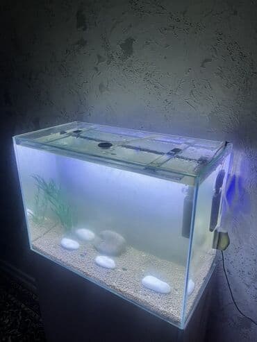 Грызуны: Прямоугольный аквариум, Пустой, 90 л, Платная доставка — 1