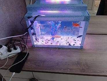 Akvaryum dəsti – tam işlək komplekt akvaryum, dekorativ “su damcısı”