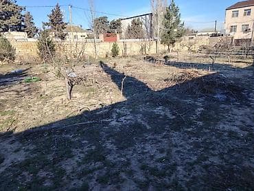 əmlak az xırdalan: 15 sot, Tikinti, Maklerlər narahat etməsin, Kupça (Çıxarış) — 4