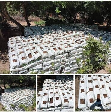 Digər gübrə: Kakabitler. Koko CHAMPİON Meşokun Biri 40 qəpik. Meşokda 2 kq olur — 5