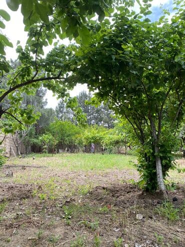 xoçəsən: 17 sot, Tikinti, Mülkiyyətçi, Bələdiyyə — 4