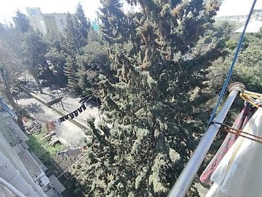 6 ci mkr da evler: Bakı, 5-ci mikrorayon, 2 otaqlı, Köhnə tikili, m. Memar Əcəmi, 40 kv. m — 8