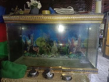 akvariumlar: Salam. Akvarium satılır. Uzunluğu 1 metr, hund. 0.70 — 5