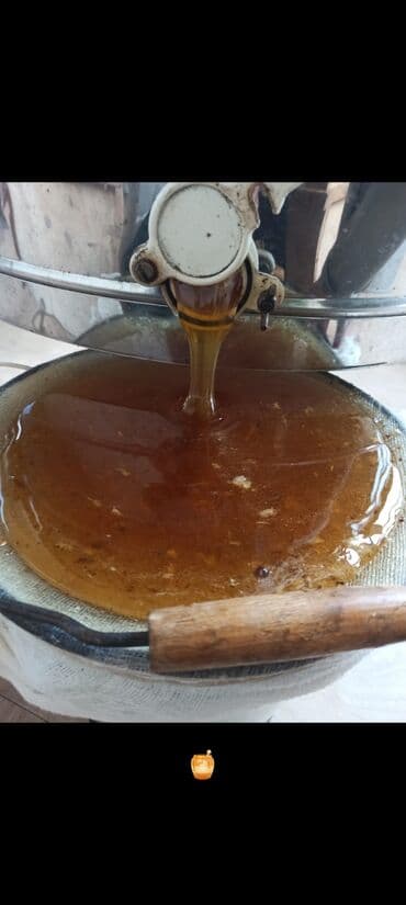 домики для кошек баку: Ящики для пчел — 4