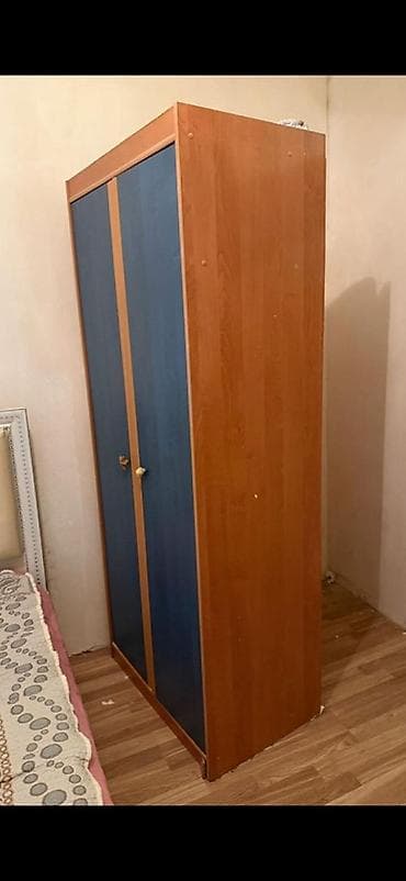Ev üçün mebel: 2 qapılı, Mavi, Taxta, Açılan, Düz dolab — 2