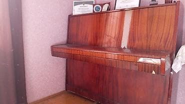 gitara klassik: Akustik pianino - Korpus: yüksək parlaq laklı, təbii ağac teksturalı — 1