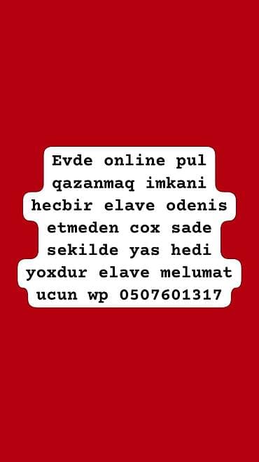 Ev şəraitində online gəlir əldə etmək imkanı. Heç bir əlavə ödəniş
