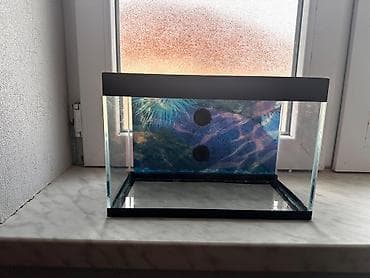 betta balığı: Dördbucaq akvarium, Boş, 9 l, Ödənişli çatdırılma — 2