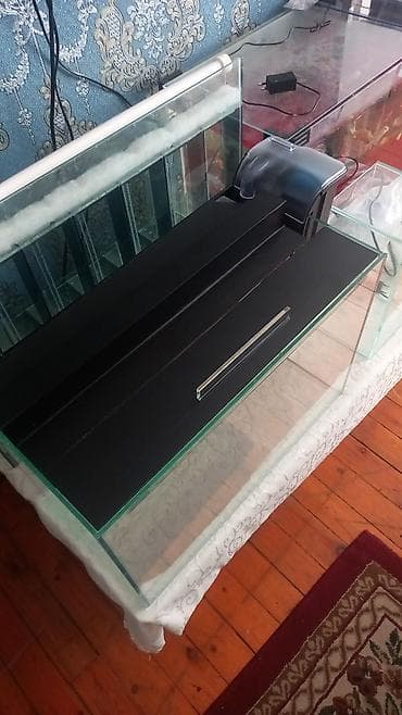 gence akvarium: Salam isdənilən ölçüdə akvarium yığıram nömrədə vhatsap var buyurun — 2