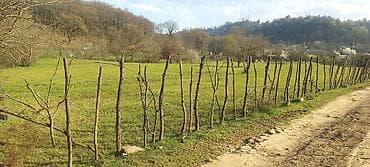 astara rayonu: Tikinti — 7