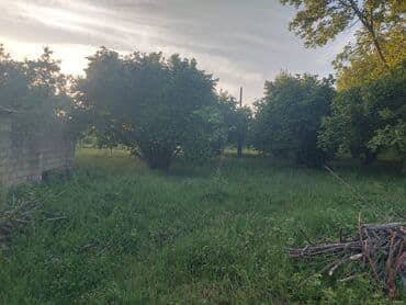 участок в деревне: 30 соток, Для сельского хозяйства — 7