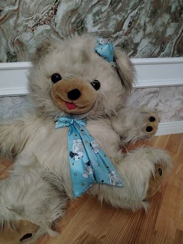 tedi ayı: Boz ayı.Boyuk — 1