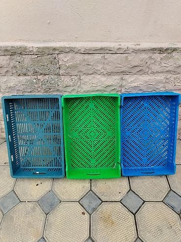 paytaxt salati 10 neferlik: Meyve kaseti az islenib — 1