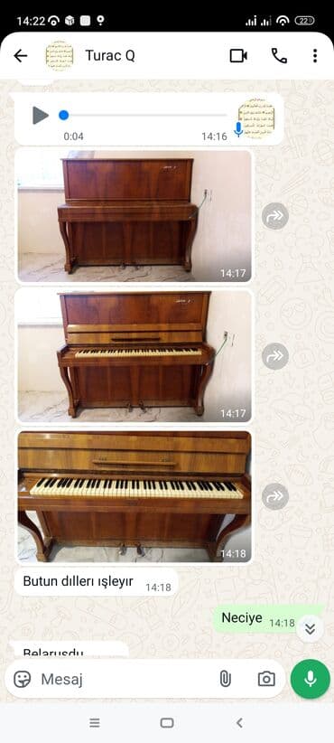 Piano, Belarus, Akustik