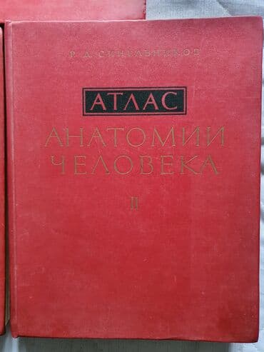 coğrafi atlas pdf: Для студентов мед.вузов — 2