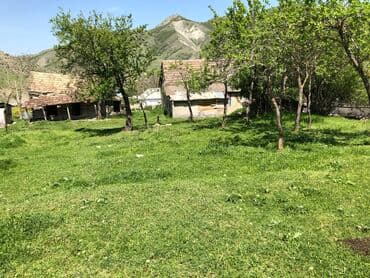 yeni əmlak sumqayıt: 30 sot, Kənd təsərrüfatı, Mülkiyyətçi, Kupça (Çıxarış) — 12