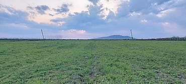 kiraye hovuzlu evler: 200 sot, Kənd təsərrüfatı — 6