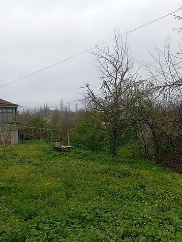 1 otaqli kiraye evler 2018: Шабран, 18 м², 2 комнаты, Без бассейна, Электричество — 2