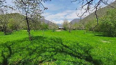 28 sot, Kupça (Çıxarış)