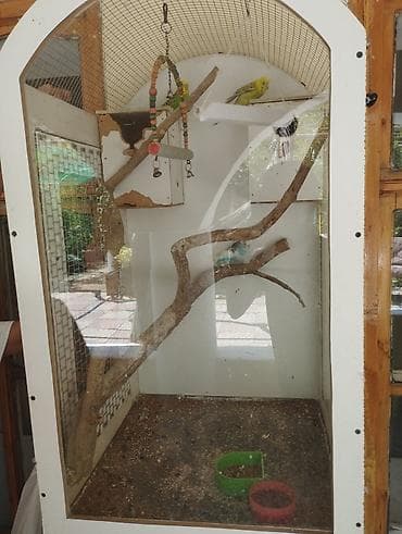 herəti: Böyük tutumlu quş qəfəsi – aksesuarlarla - Material: ağ rəngli taxta — 2
