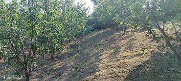 torpaq satşı: Kənd təsərrüfatı — 3