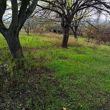 Продажа дач: Satışa təqdim olunur: yeni tikili həyət evi və geniş torpaq sahəsi 24 — 6