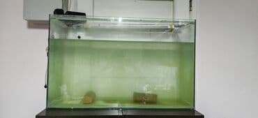 bmw 3 серия 335i mt: Akvarum satılır 500 letrilik akvarumdı,üzərində havalandırıcı və — 1