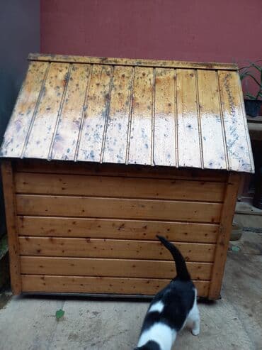 it yuvasi satilir: Taxta it evi.Temiz taxtadandir.Üzəri laklidir — 3