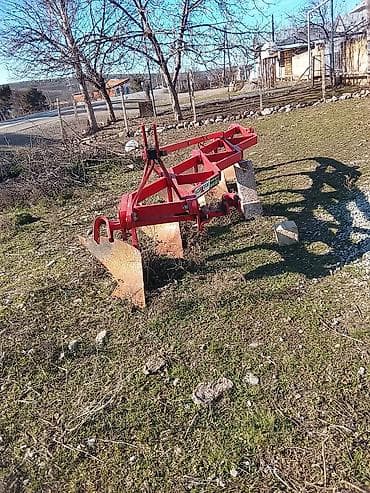 Riyal alçı zəg vursun