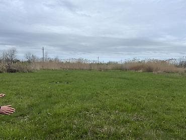 seki torpaq: 130 sot, Kənd təsərrüfatı, Kupça (Çıxarış), Bələdiyyə, Müqavilə — 1