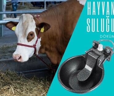 inək südsağan aparat: Yem qabı, Su üçün, Heyvanlar üçün, Ünvandan götürmə, Ödənişli çatdırılma, Rayonlara çatdırılma — 1