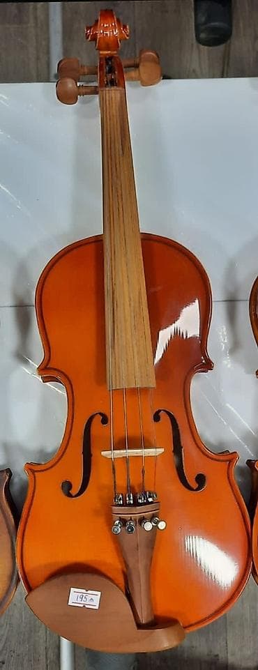 skripka: Skripka, violin Rast musiqi alətləri mağazası. Əhmədli, İnşaatçılar — 1