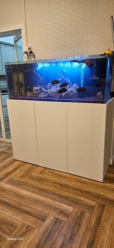 Dördbucaq akvarium, 450 l lalafo.az -da Dördbucaq akvarium, 450 l