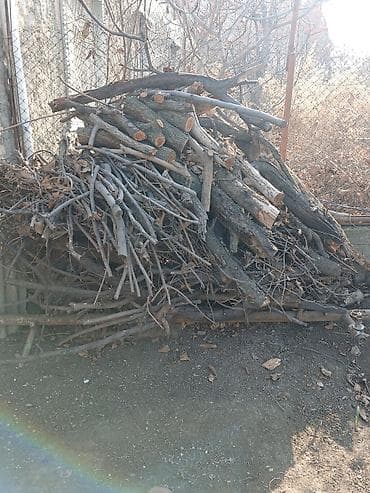 Toxumlar: Odun və budaq qırıntıları – qarışıq ölçülər - Qalın gövdə parçaları — 2