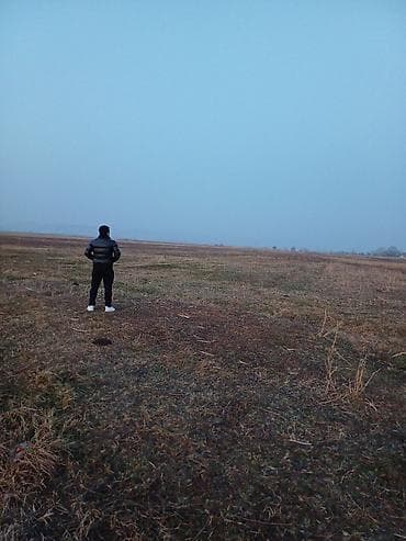 Продажа участков: 244 соток, Для сельского хозяйства, Собственник, Купчая — 1