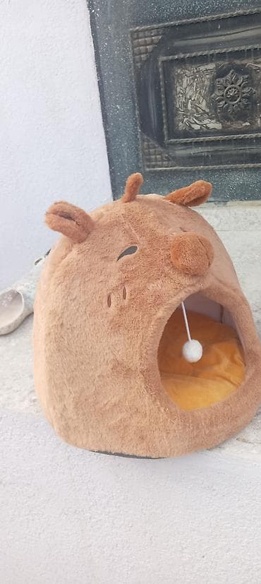 Yeni pisiy evi satilir.hem pencerecun hem yataq.yenidir.20.biri 15 dir — 2