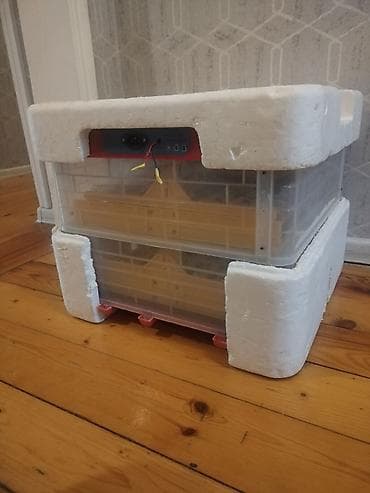 Tam avtomat — 5