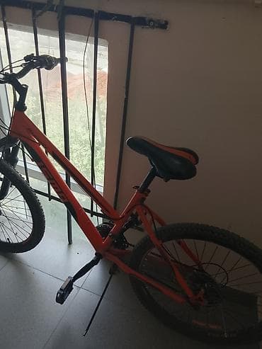 alman velo: 24 lük isma velospet her yeri alminyumdur tek problemi skorus islemir — 1