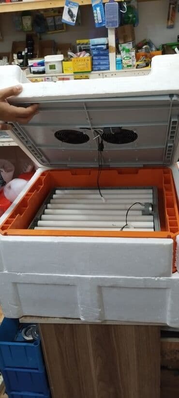 qirqovul satilir: Inkubatorlarin birinci əl satişi unversal inkubator inkubator 196 — 6