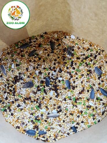 en ucuz uc: Tutuquşu yemi.(papuqay yemi) Yüksək keyfiyyətli tutuquşu yemini sizə — 7