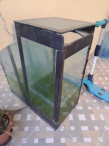 Hundurluk 70sm en 35 sm