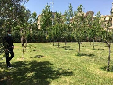 ev certiyojları: 90 kv. m, 2 otaqlı, Qaz, İşıq, Su — 3