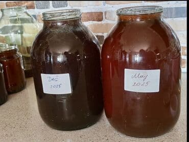 Təbii Qax balı May, Dağ, və Meşə balları mövcuddur. - Şəkillərdə