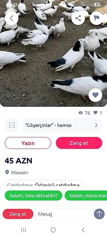 Heyvanlar üçün mallar: Bax bu paylawdigim anasi sosqani taniyun pul atdirib quw gondermir — 2