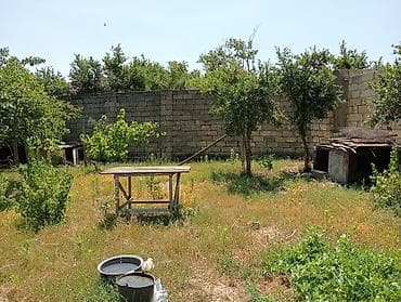 sumqayitda ev: 6 sot, Tikinti, Makler, Kupça (Çıxarış) — 2