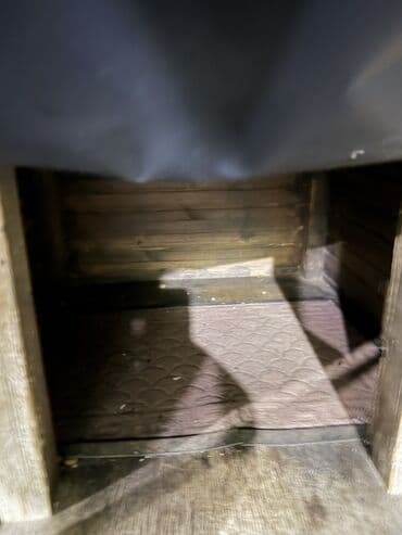 Птицы: Taxta it evi.islenib yeniden secilmir ela veziyyetdedir.temiz — 3