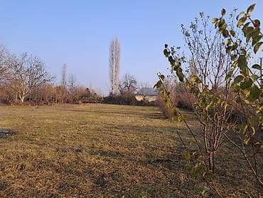 cefer xendan kucesi: 25 sot, Mülkiyyətçi — 7