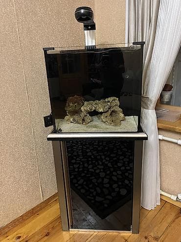 akvarium qumu: Hazir okean akvariumu satilir icinde dashi qumu 3 ilbizi musherom — 9